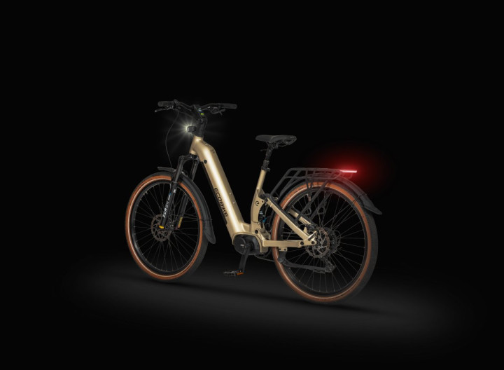 Rower elektryczny Ecobike Flex Titan