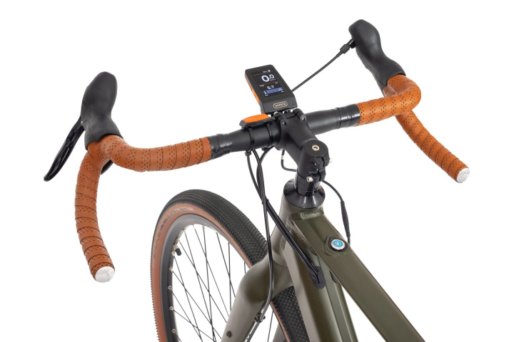 Rower elektryczny EcoBike Forest | MaxolaBikes
