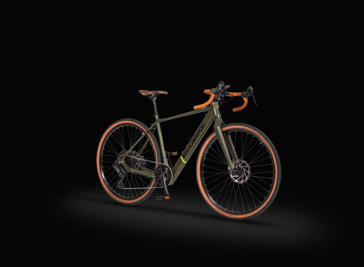 Rower elektryczny EcoBike Forest | MaxolaBikes