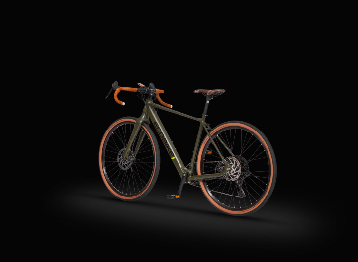 Rower elektryczny EcoBike Forest | MaxolaBikes