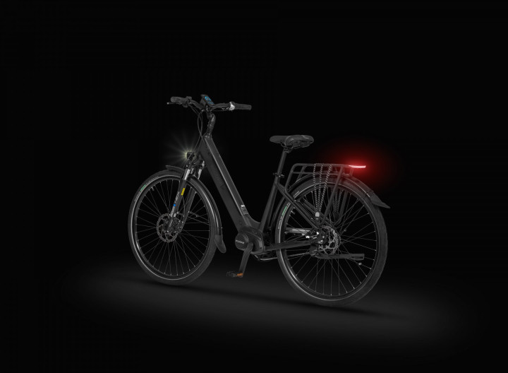 Rower elektryczny Ecobike LX 17"/19"